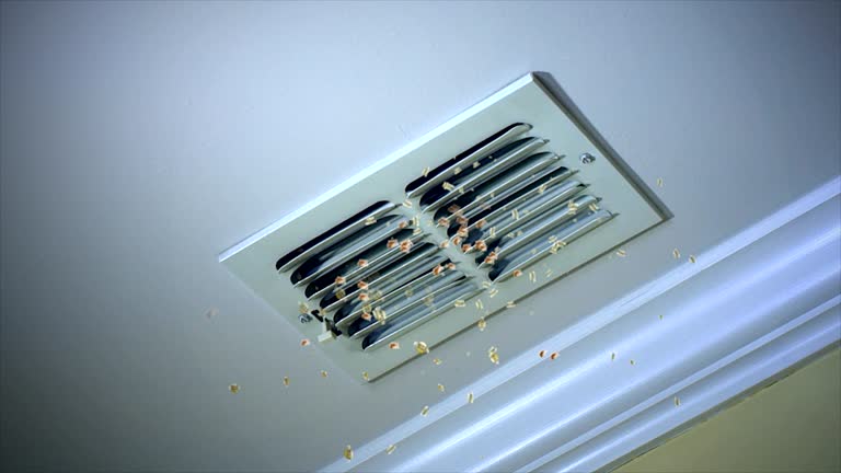 Best Air Duct Inspection  in Millersburg, PA