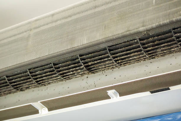 Best Affordable Air Duct Cleaning  in Millersburg, PA